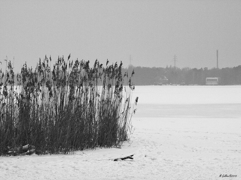 Blick auf die Havel.....