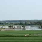 Blick auf die Havelwiesen...