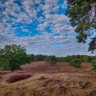 Blick auf die Heide