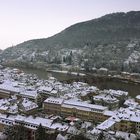 Blick auf die Heidelberger Alstadt