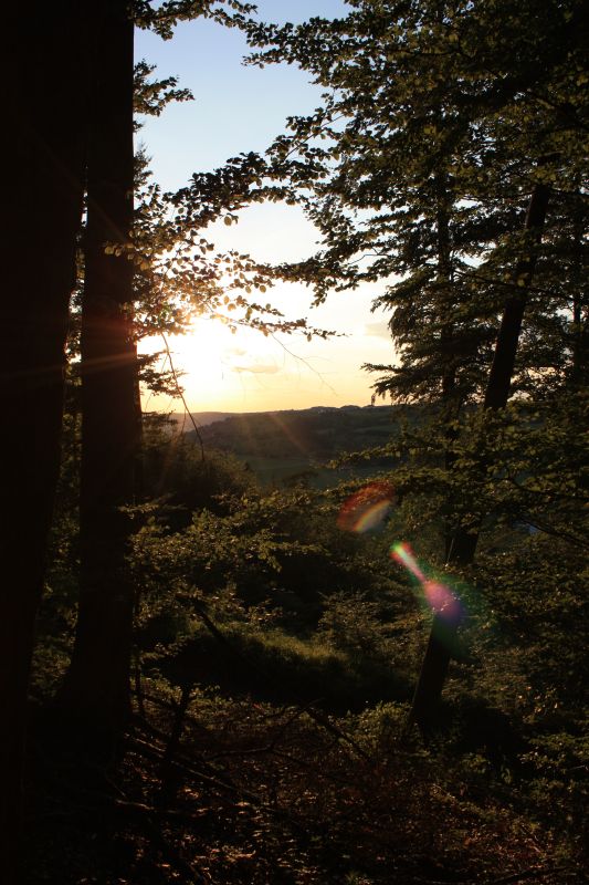 Blick auf die Heimat