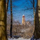 Blick auf die Herz Jesu Kirche