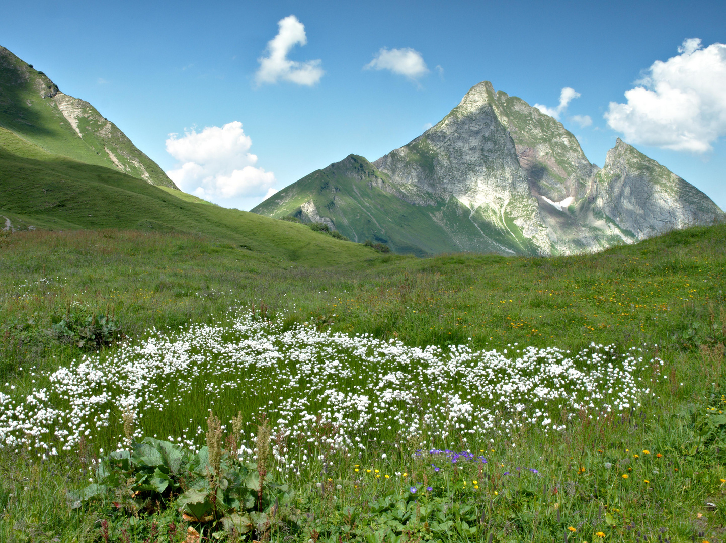 Blick auf die Höfats