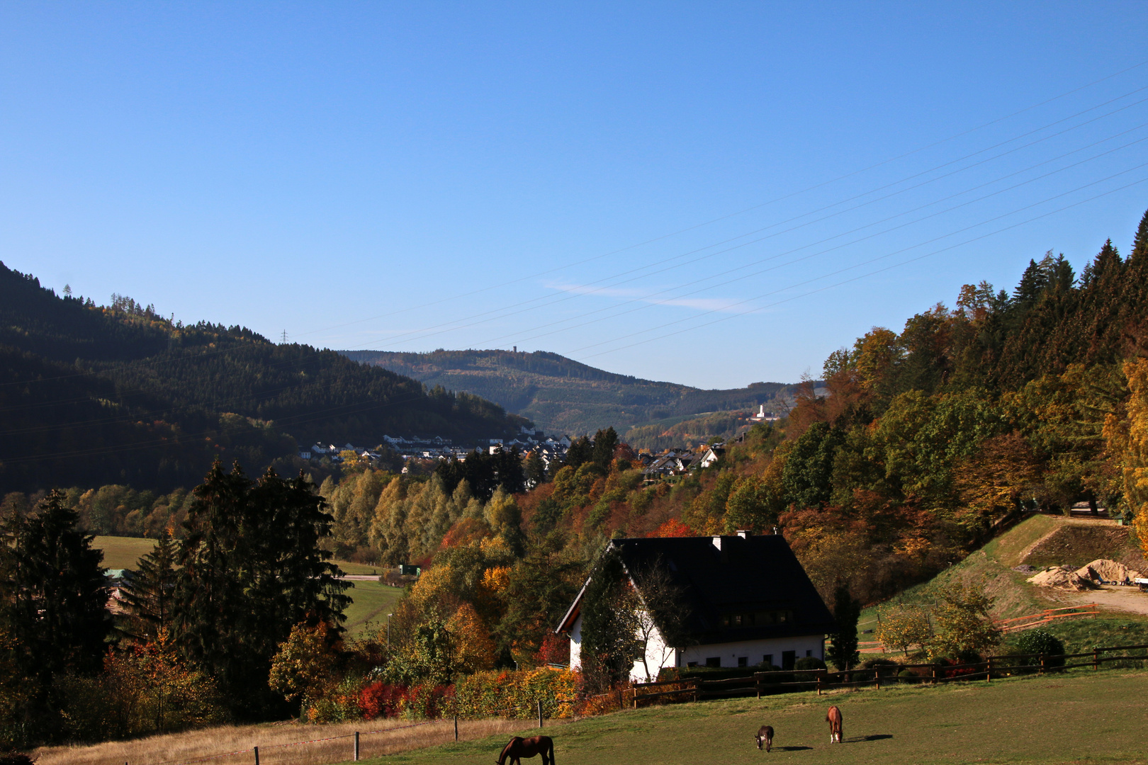 Blick auf die Hohe Bracht