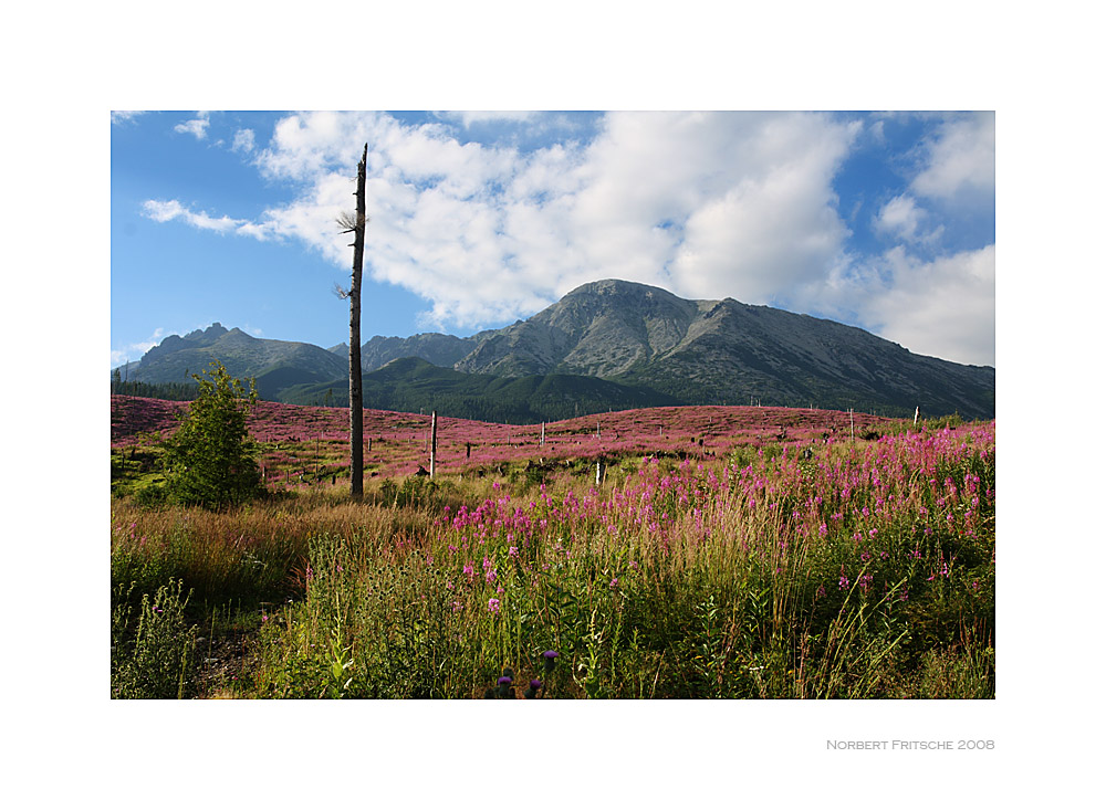 Blick auf die Hohe Tatra