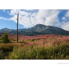 Blick auf die Hohe Tatra