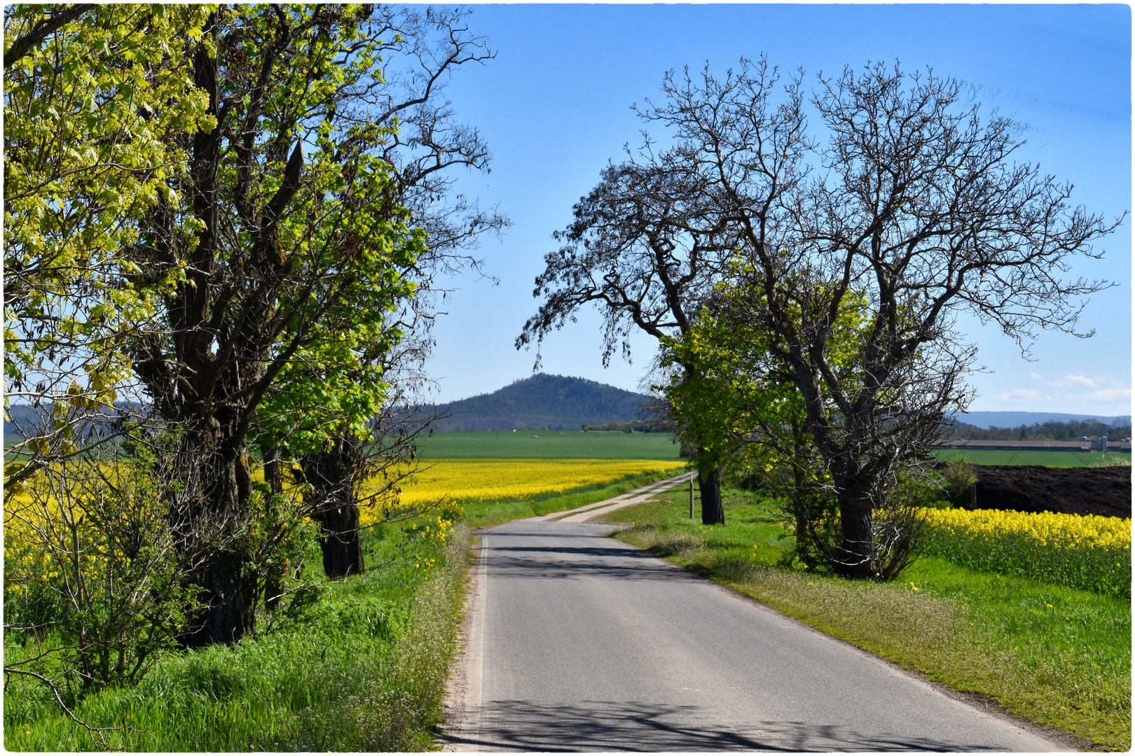 Blick auf die Hoppelnase....