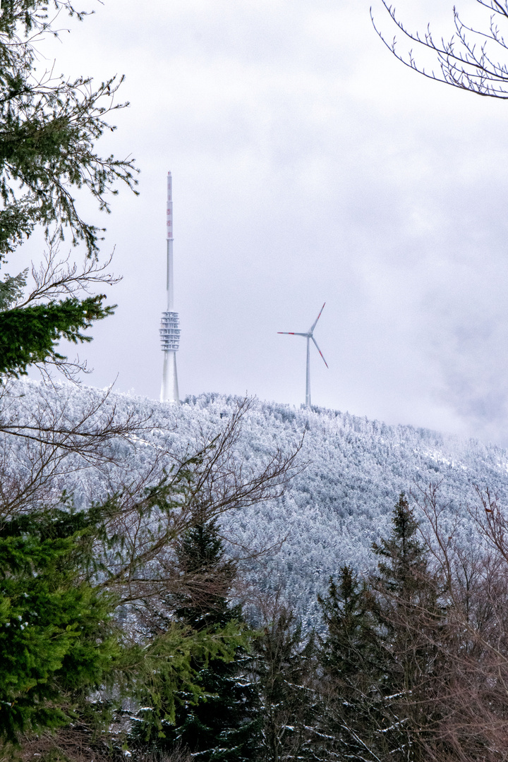 Blick auf die Hornisgrinde (SWR Sendeturm und Windkraftanlage)