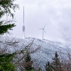 Blick auf die Hornisgrinde (SWR Sendeturm und Windkraftanlage)