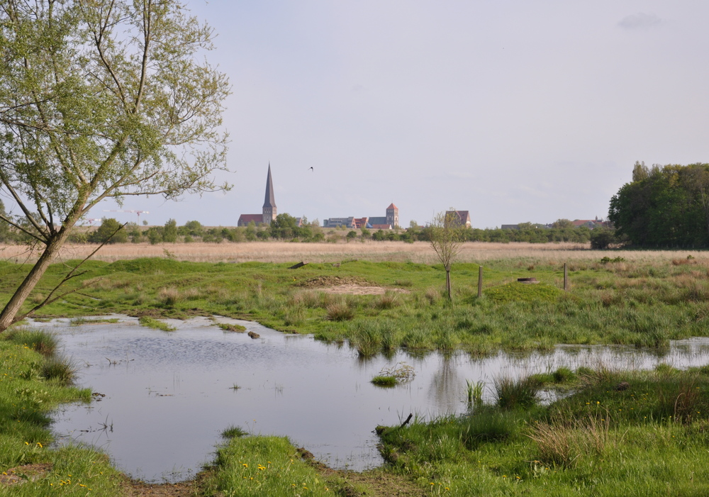 Blick auf die Innenstadt