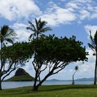 Blick auf die Insel Mokoli'i (Chinamans Hat) vom Kualoa Regional Park, Oahu