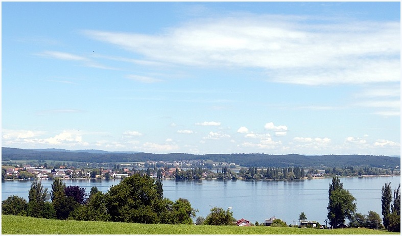 Blick auf die Insel Reichenau