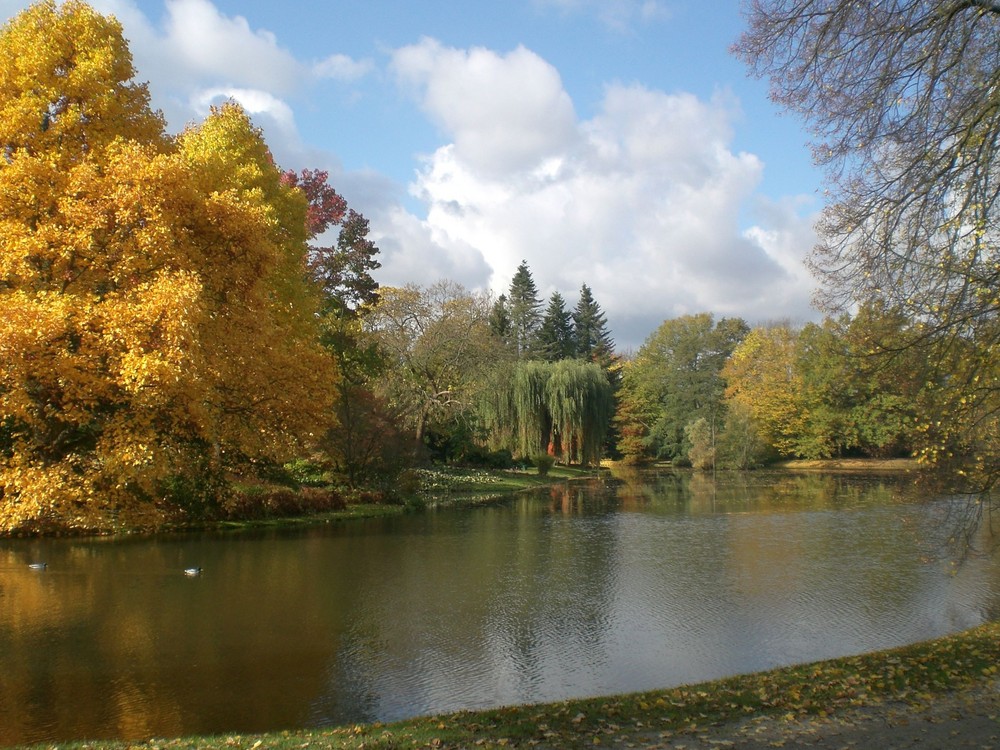 Blick auf die Insel Siebenbergen am späten Nachmittag