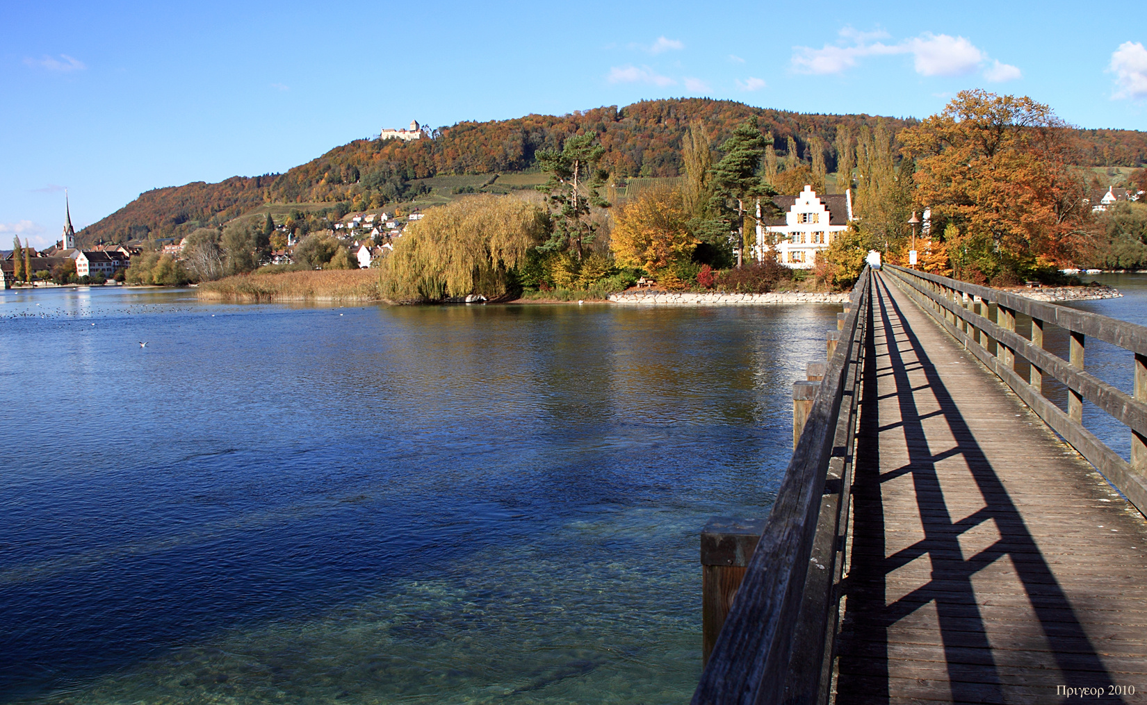 Blick auf die Insel Werd im Sp therbst Foto Bild Blick auf die Insel Werd im Sp therbst Foto Bild
