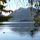 Blick auf die Insel Wörth im Schliersee!