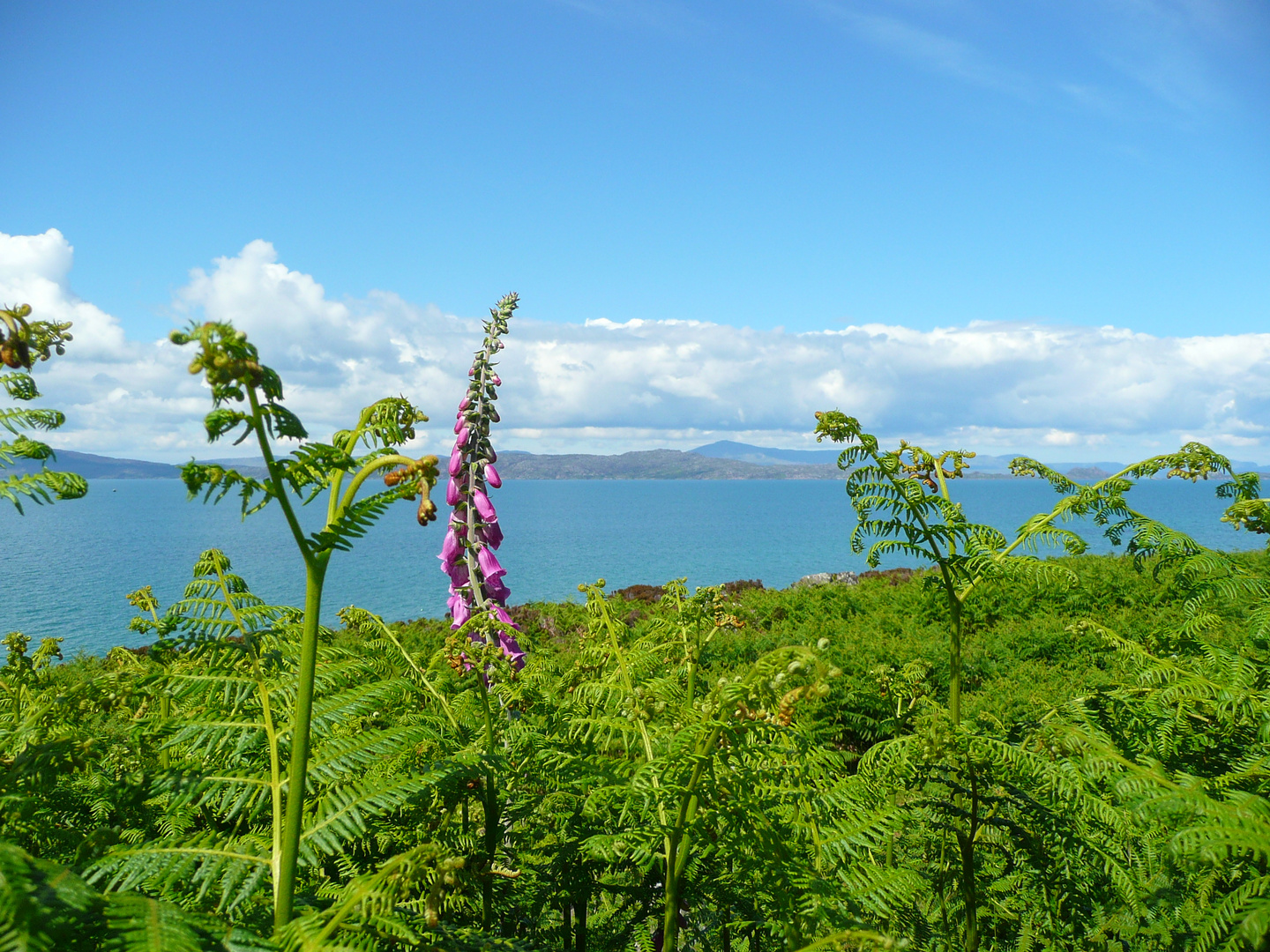 Blick auf die Isle of Skye