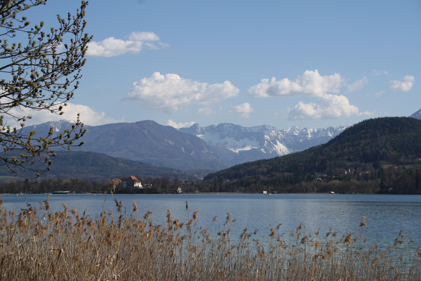 Blick auf die Karawanken (Koschuta)