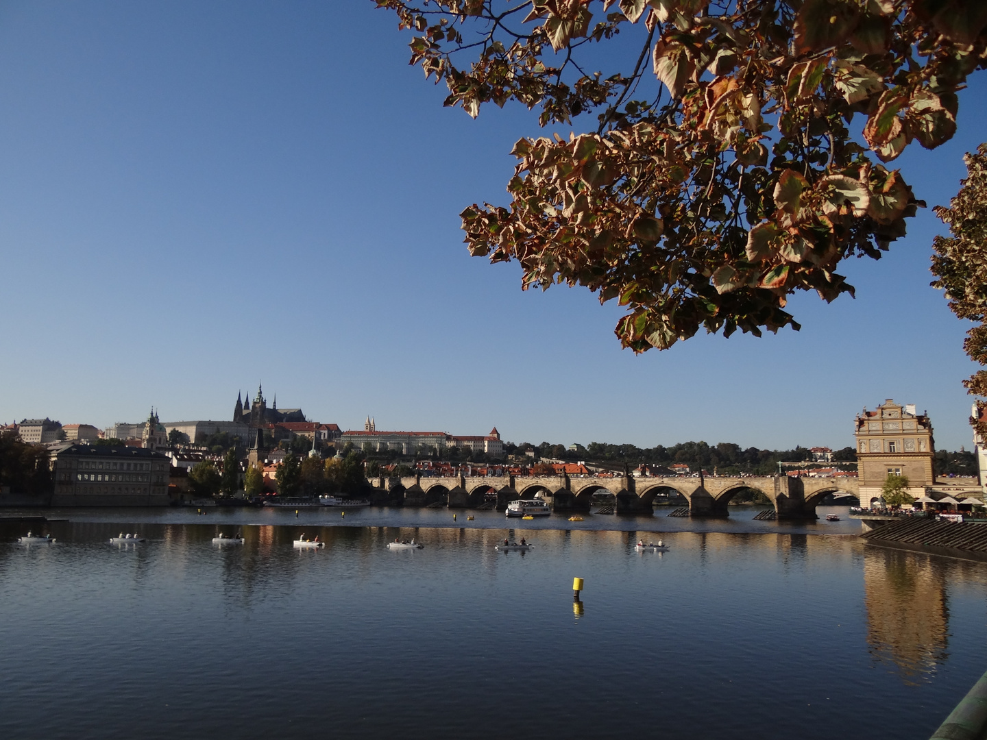 Blick auf die Karlsbrücke