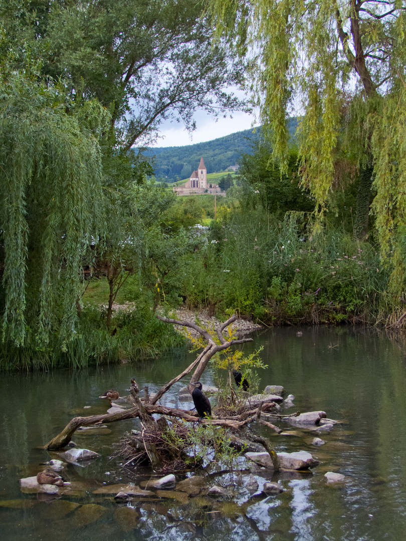 Blick auf die Kirche bei Hunawihr