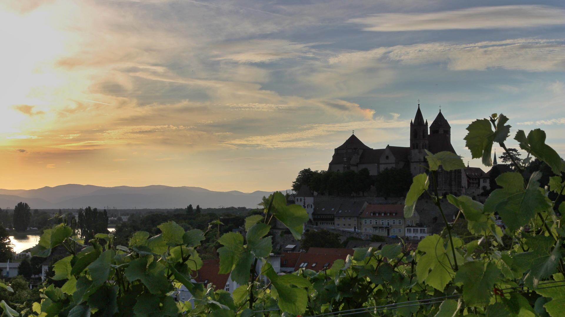 Blick auf die Kirche in der Oberstadt von Breisach am Rhein (044_2016_07_08_EOS 100D_0139_ji)