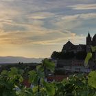 Blick auf die Kirche in der Oberstadt von Breisach am Rhein (044_2016_07_08_EOS 100D_0139_ji)