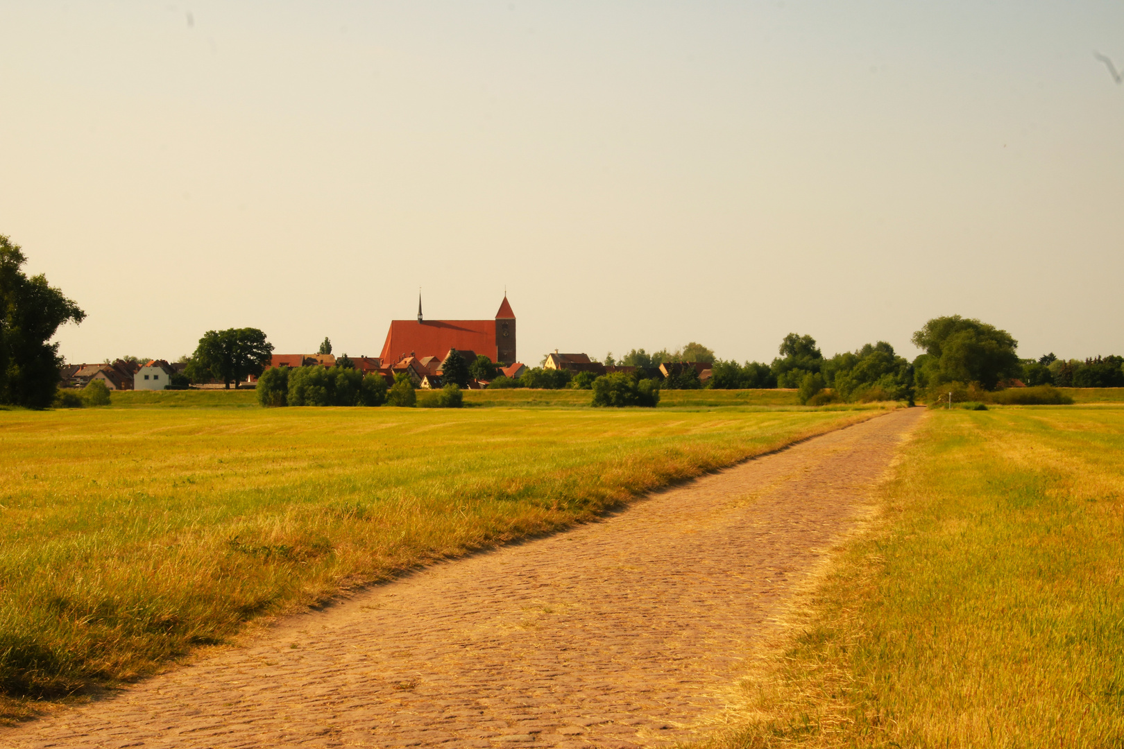 Blick auf die Kirche in Werben (Altmark)