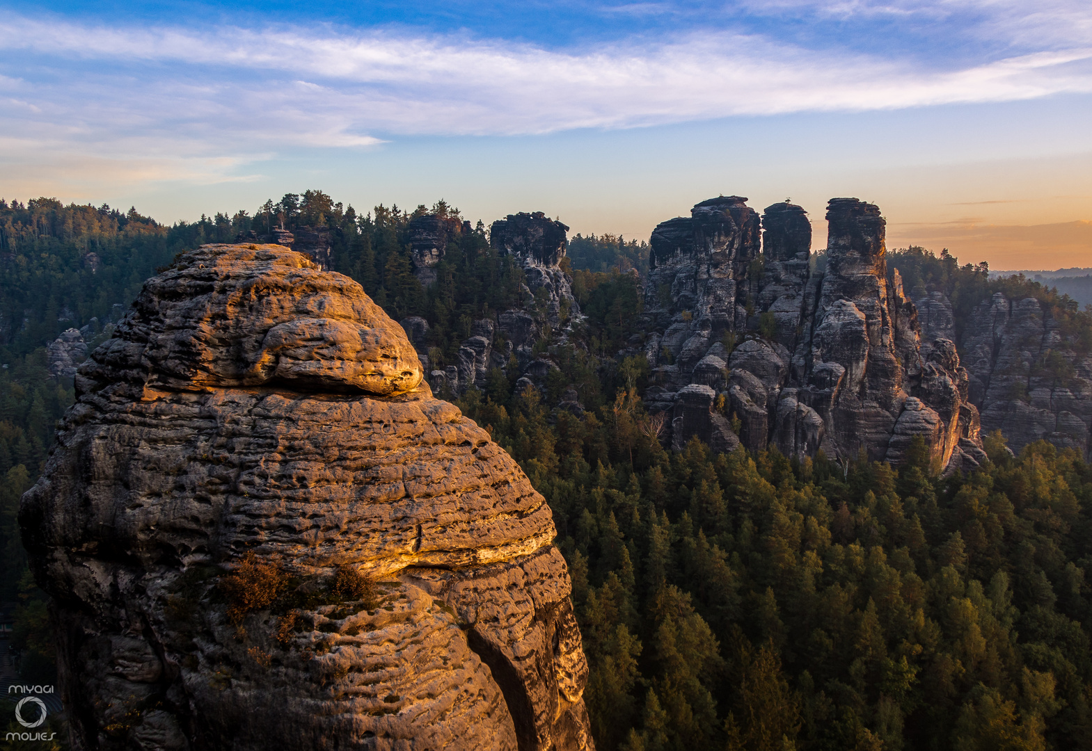 blick auf die kleine gans