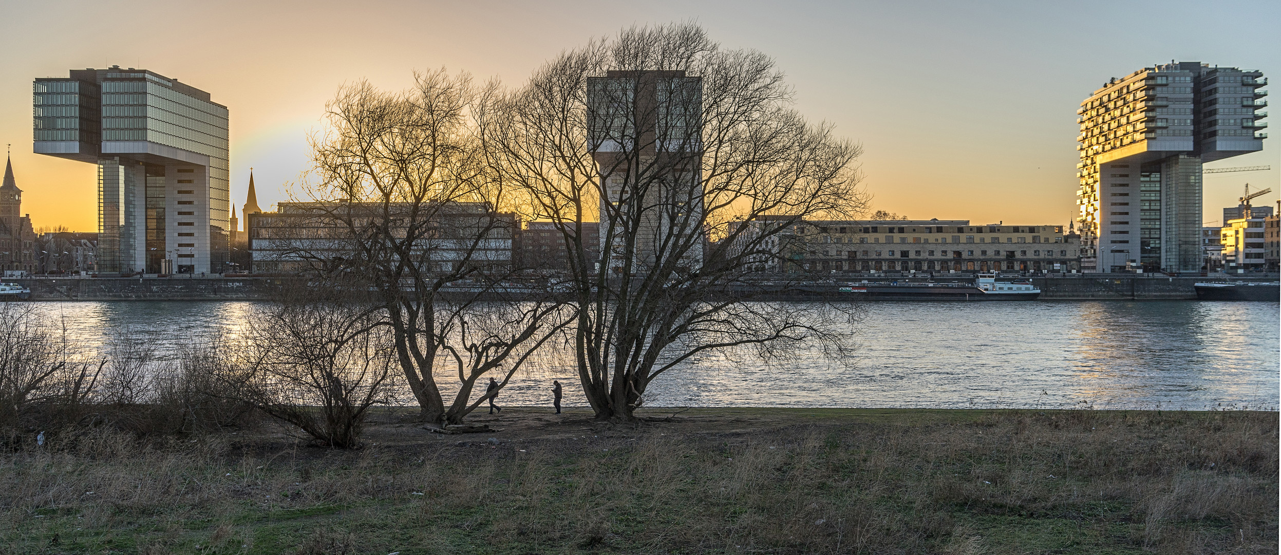 Blick auf die Kranhäuser in Köln am Rhein