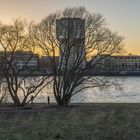 Blick auf die Kranhäuser in Köln am Rhein