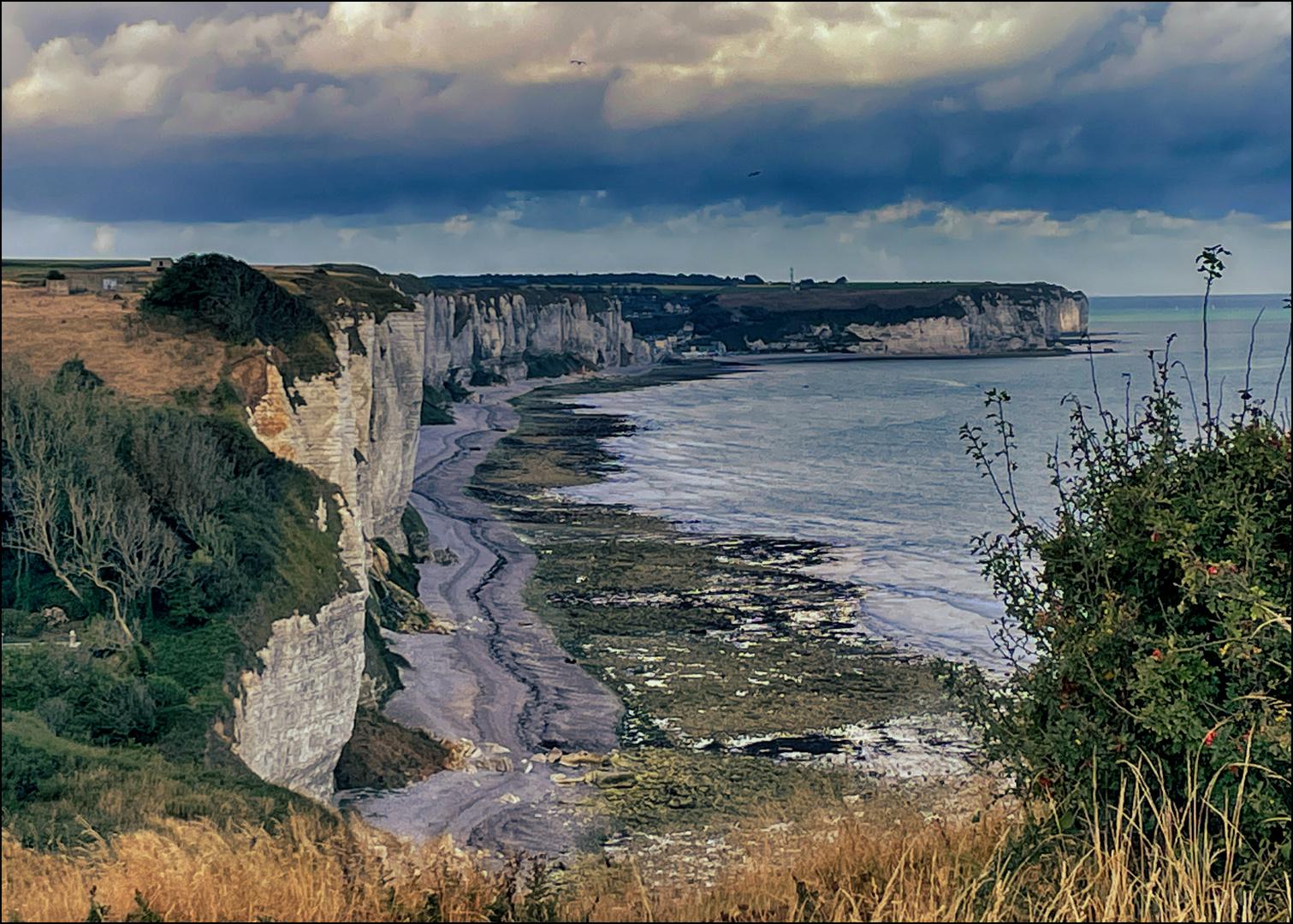 Blick auf die Kreidefelsen - Vue sur les falaises de craie