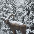 Blick auf die Krimmler--Wasserfälle