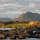 Blick auf die Küste von Gimsøya auf den Lofoten