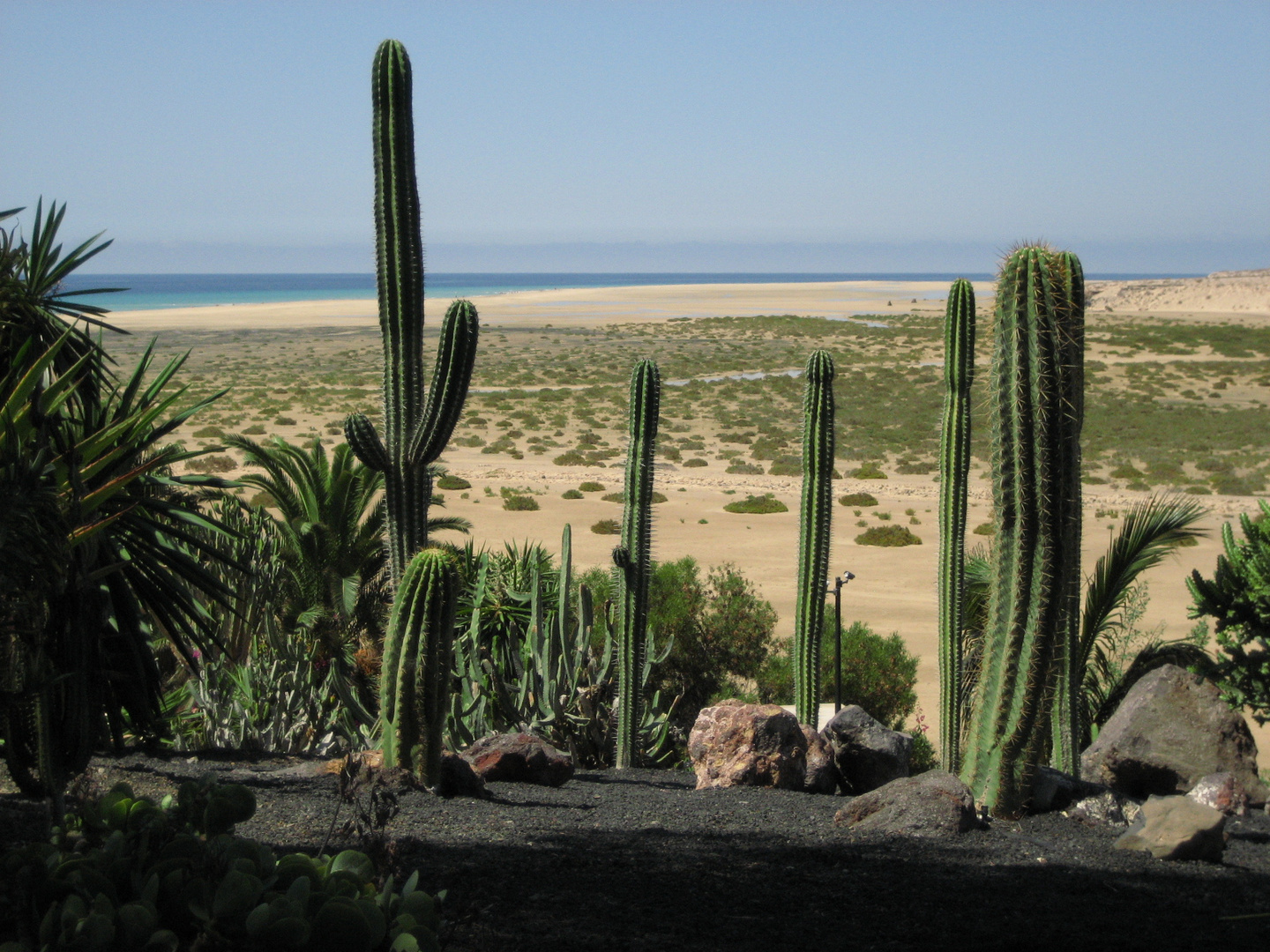 Blick auf die Lagune vom Sotavento Beach