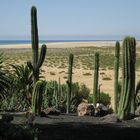 Blick auf die Lagune vom Sotavento Beach