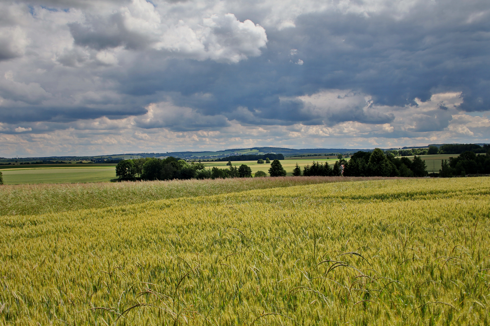 Blick auf die Langenberger Höhe