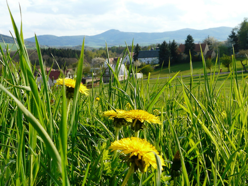 Blick auf die Lausche