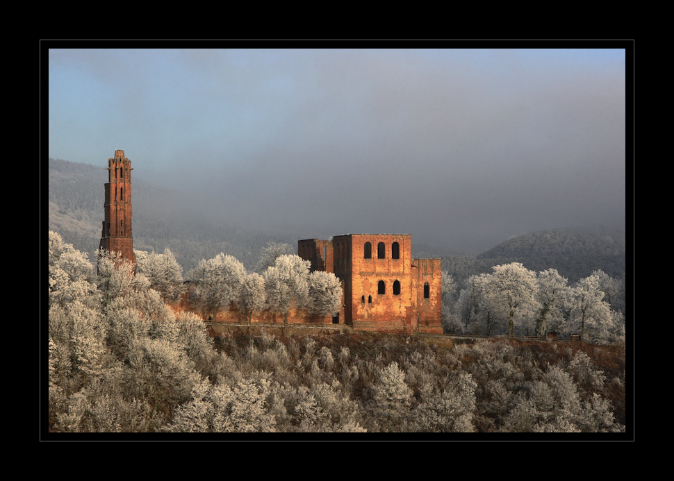 Blick auf die Limburg