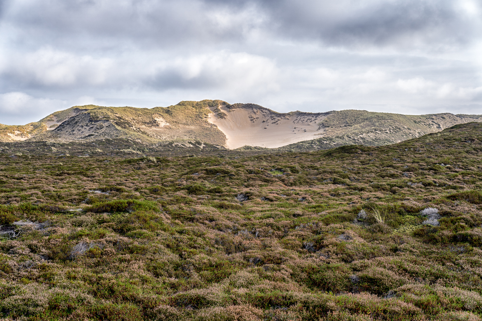 BLICK AUF DIE LISTER DÜNENLANDSCHAFT - SYLT OKTOBER 2017