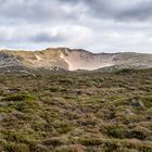 BLICK AUF DIE LISTER DÜNENLANDSCHAFT - SYLT OKTOBER 2017