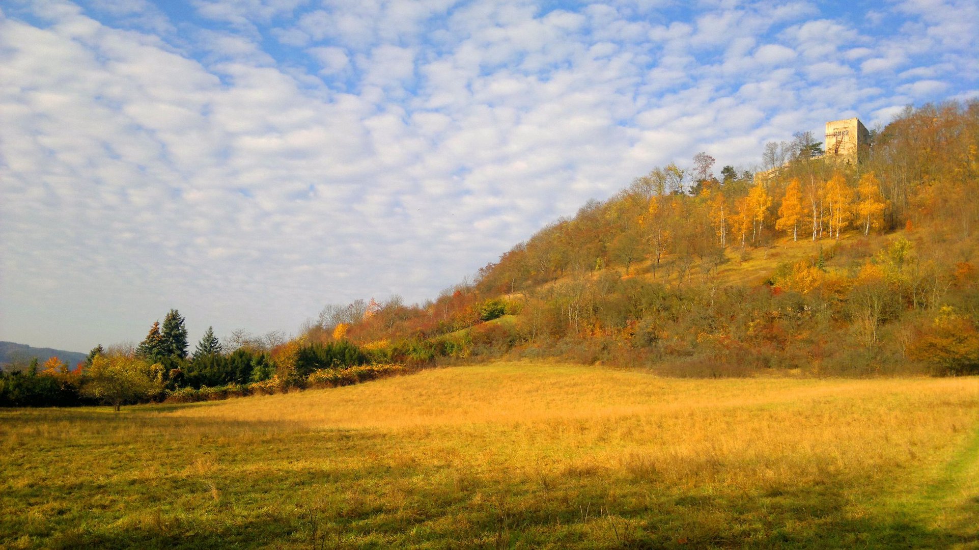 Blick auf die Lobdeburg