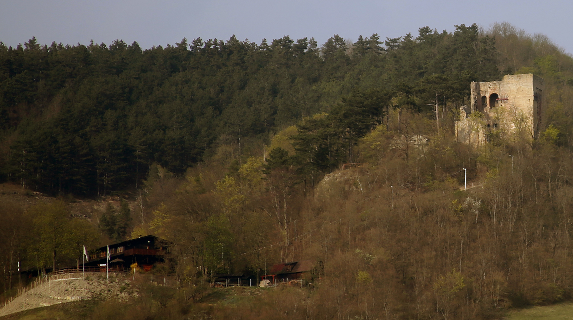 Blick auf die Lobdeburg