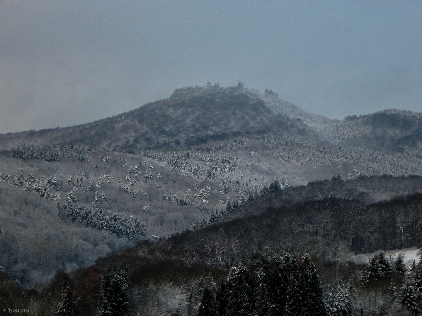 Blick auf die Löwenburg