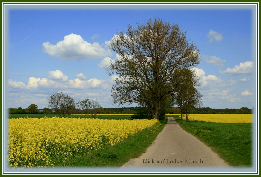 Blick auf die Luther Masch