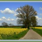 Blick auf die Luther Masch