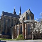 Blick auf die mächtige Marienkirche im Zentrum von Rostock