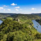 Blick auf die Marienburg bei Zell an der Mosel