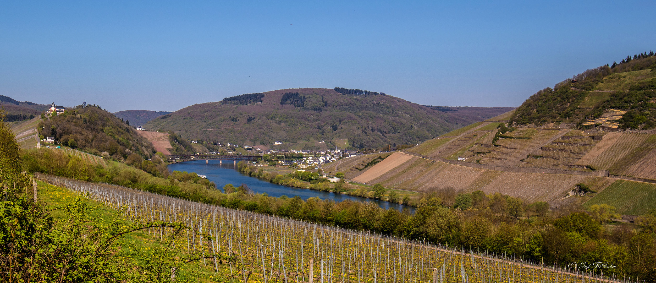 Blick auf die Marienburg und Bullay (Mosel)