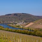 Blick auf die Marienburg und Bullay (Mosel)