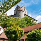 Blick auf die Meersburg 