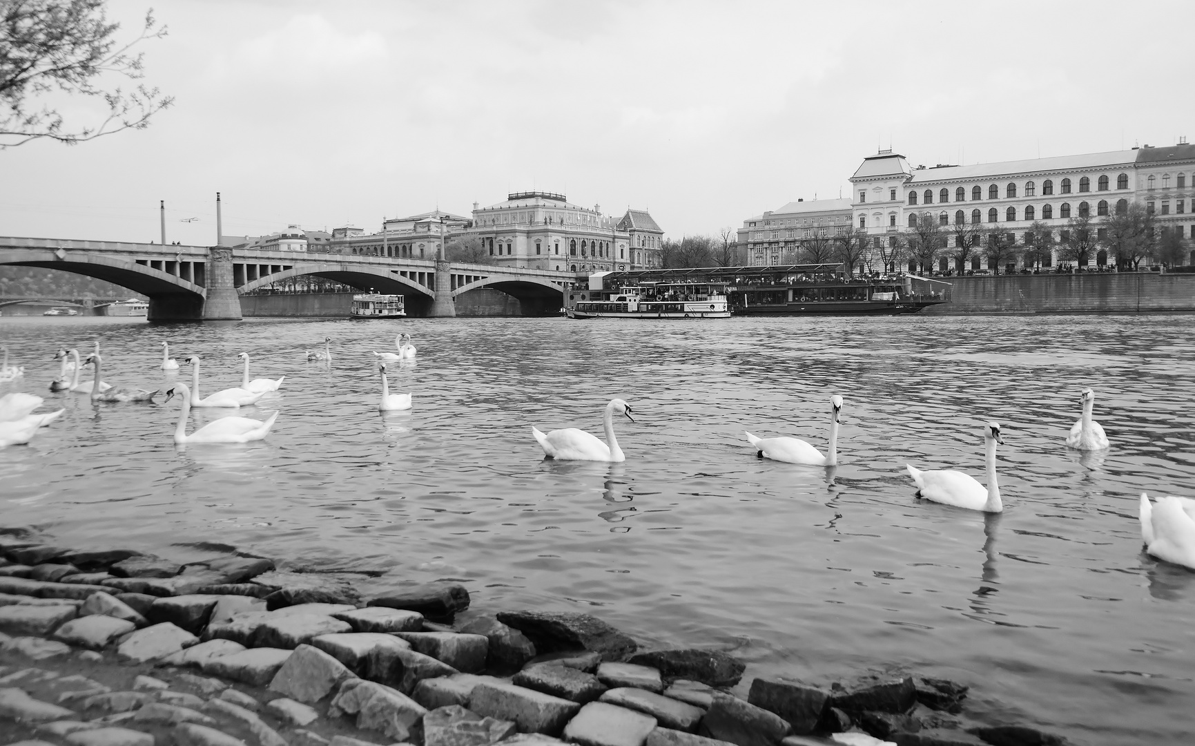 Blick auf die Moldau